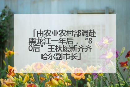由农业农村部调赴黑龙江一年后，“80后”王杕履新齐齐哈尔副市长