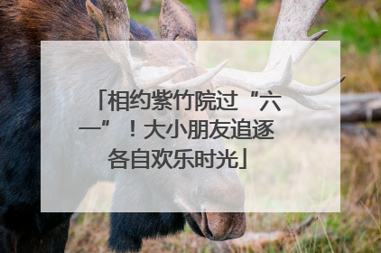 相约紫竹院过“六一”！大小朋友追逐各自欢乐时光