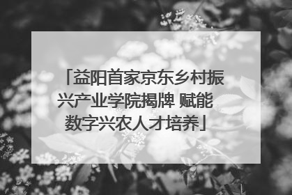 益阳首家京东乡村振兴产业学院揭牌 赋能数字兴农人才培养