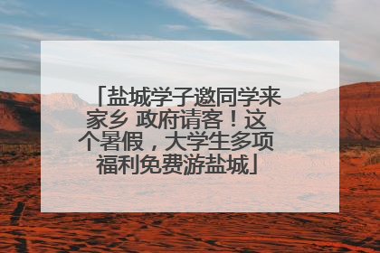 盐城学子邀同学来家乡 政府请客！这个暑假，大学生多项福利免费游盐城