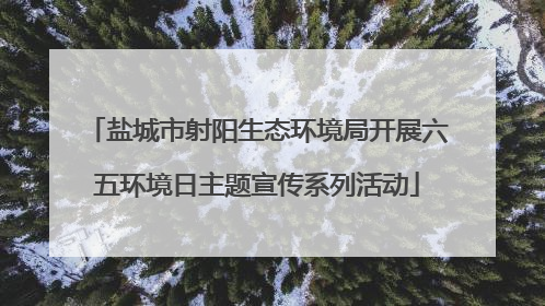 盐城市射阳生态环境局开展六五环境日主题宣传系列活动