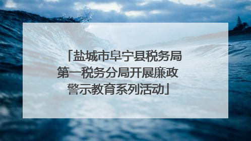 盐城市阜宁县税务局第一税务分局开展廉政警示教育系列活动