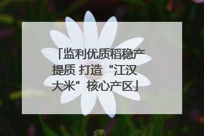 监利优质稻稳产提质 打造“江汉大米”核心产区