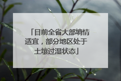 目前全省大部墒情适宜，部分地区处于土壤过湿状态