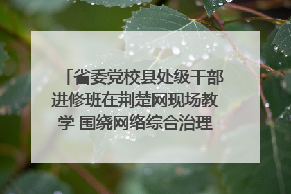省委党校县处级干部进修班在荆楚网现场教学 围绕网络综合治理工作展开交流