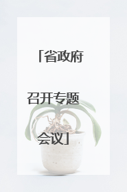 省政府召开专题会议