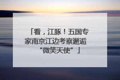 看，江豚！五国专家南京江边考察邂逅“微笑天使”
