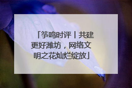筝鸣时评丨共建更好潍坊，网络文明之花灿烂绽放