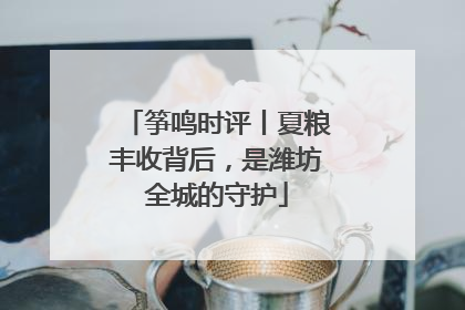 筝鸣时评丨夏粮丰收背后，是潍坊全城的守护