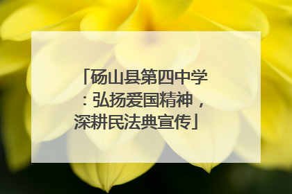 砀山县第四中学：弘扬爱国精神，深耕民法典宣传