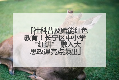社科普及赋能红色教育！长宁区中小学 “红讲” 融入大思政课亮点频出
