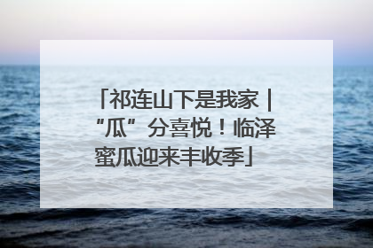 祁连山下是我家｜“瓜”分喜悦！临泽蜜瓜迎来丰收季