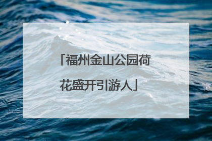 福州金山公园荷花盛开引游人