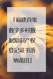 福建首张数字乡村数据知识产权登记证书落地莆田
