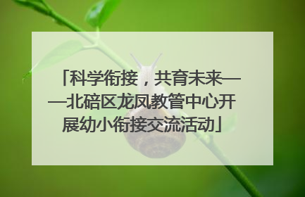 科学衔接，共育未来——北碚区龙凤教管中心开展幼小衔接交流活动