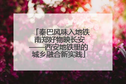 秦巴风味入地铁 南郑好物映长安——西安地铁里的城乡融合新实践