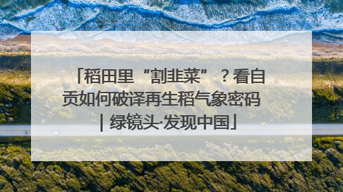稻田里“割韭菜”？看自贡如何破译再生稻气象密码｜绿镜头·发现中国