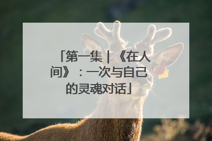 第一集｜《在人间》：一次与自己的灵魂对话