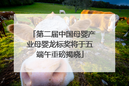 第二届中国母婴产业母婴龙标奖将于五端午重磅揭晓