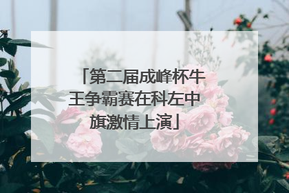 第二届成峰杯牛王争霸赛在科左中旗激情上演
