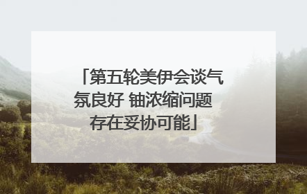 第五轮美伊会谈气氛良好 铀浓缩问题存在妥协可能