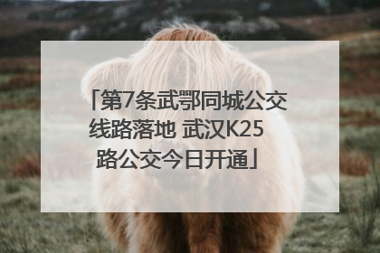 第7条武鄂同城公交线路落地 武汉K25路公交今日开通