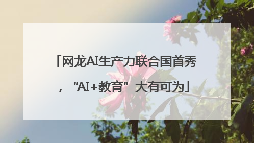 网龙AI生产力联合国首秀，“AI+教育”大有可为