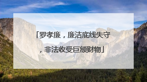 罗孝廉，廉洁底线失守，非法收受巨额财物