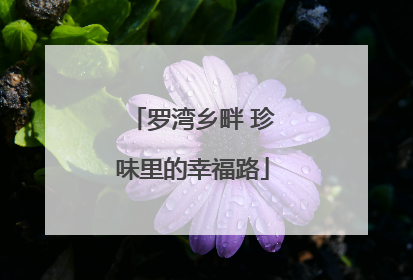 罗湾乡畔 珍味里的幸福路