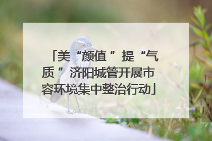 美“颜值 ”提“气质 ”济阳城管开展市容环境集中整治行动