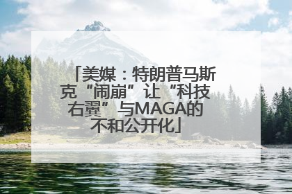 美媒：特朗普马斯克“闹崩”让“科技右翼”与MAGA的不和公开化