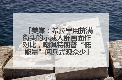 美媒：希拉里用挤满街头的示威人群画面作对比，嘲讽特朗普“低能量”阅兵式观众少