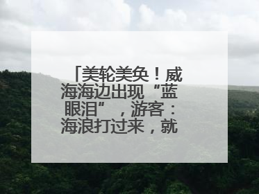 美轮美奂！威海海边出现“蓝眼泪”，游客：海浪打过来，就像星河一样