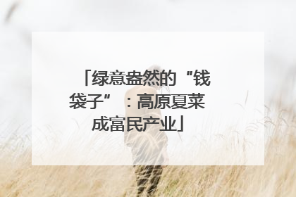 绿意盎然的“钱袋子”：高原夏菜成富民产业
