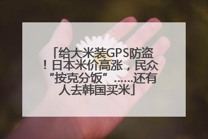 给大米装GPS防盗！日本米价高涨，民众“按克分饭”……还有人去韩国买米