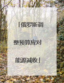 俄罗斯调整预算应对能源减收