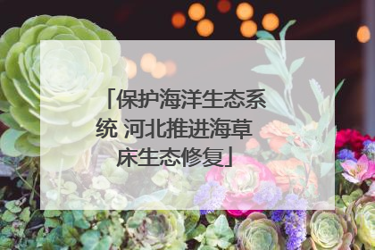 保护海洋生态系统 河北推进海草床生态修复
