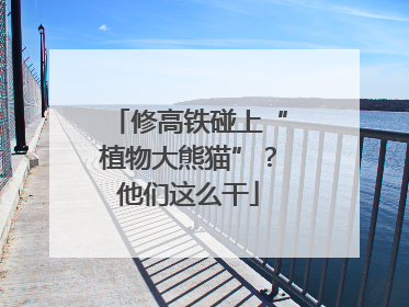 修高铁碰上“植物大熊猫”？他们这么干