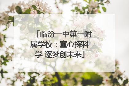 临汾一中第一附属学校：童心探科学 逐梦创未来