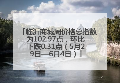 临沂商城周价格总指数为102.97点，环比下跌0.31点（5月29日—6月4日）