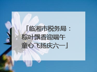 临湘市税务局：粽叶飘香迎端午 童心飞扬庆六一