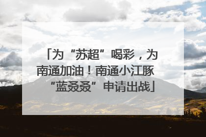 为“苏超”喝彩，为南通加油！南通小江豚“蓝叒叒”申请出战