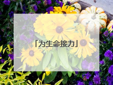 为生命接力
