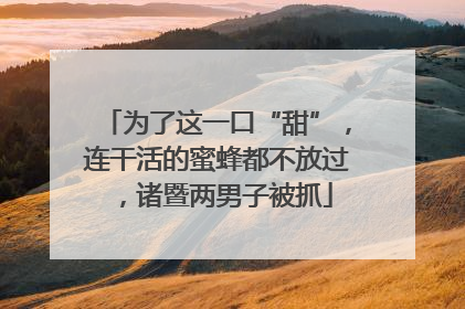 为了这一口“甜”，连干活的蜜蜂都不放过，诸暨两男子被抓