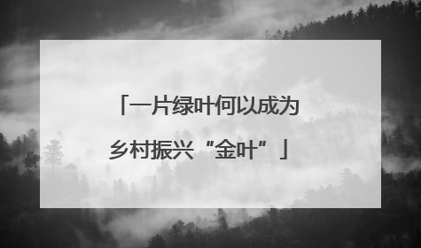 一片绿叶何以成为乡村振兴“金叶”