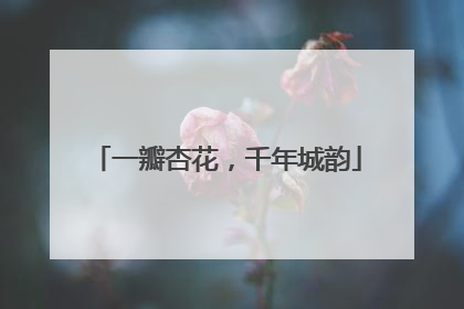 一瓣杏花，千年城韵