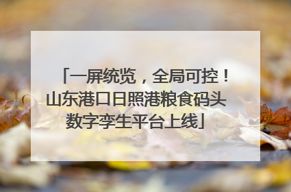 一屏统览，全局可控！山东港口日照港粮食码头数字孪生平台上线