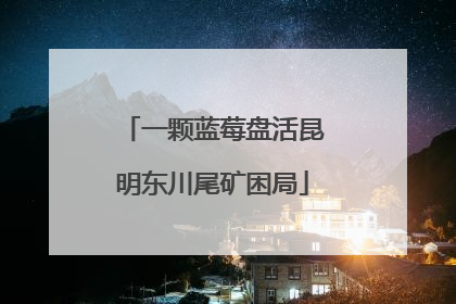 一颗蓝莓盘活昆明东川尾矿困局