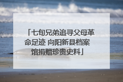 七旬兄弟追寻父母革命足迹 向阳新县档案馆捐赠珍贵史料