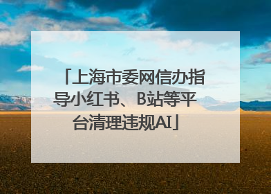 上海市委网信办指导小红书、B站等平台清理违规AI